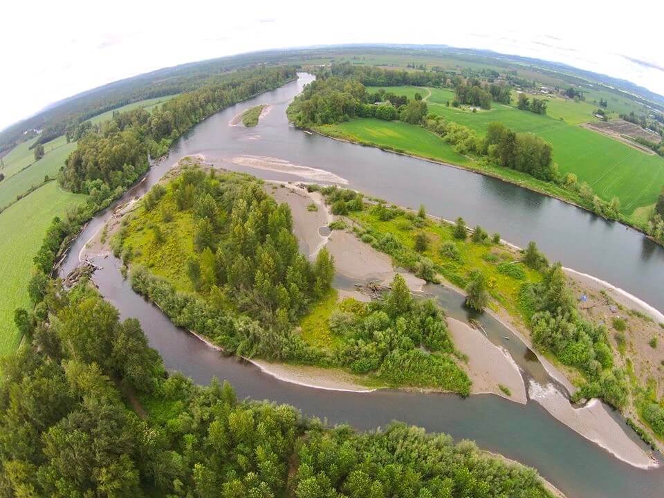 willamette river location